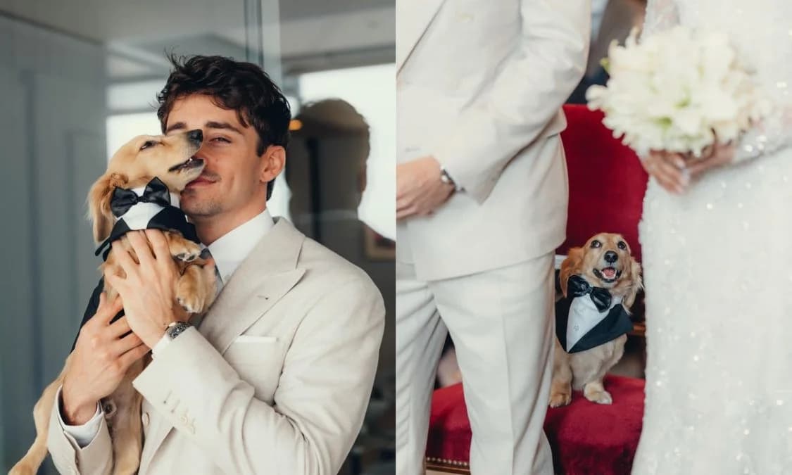 The Wedding Pets We Can’t Stop Thinking About